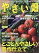 やさい畑　２０２１年　０４月号