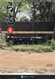弓道 2026年 08月号