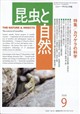 昆虫と自然 2026年 09月号