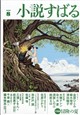 小説すばる 2026年 08月号