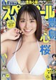 ビッグコミック スペリオール 2026年 7/24号