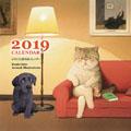 �����M�Y�@2019�N�J�����_�[