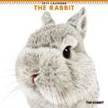 THE RABBIT�@2019�N�J�����_�[