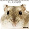 THE HAMSTER�@2019�N�J�����_�[
