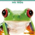 THE FROG�@2019�N�J�����_�[