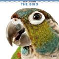 THE BIRD�@2019�N�J�����_�[