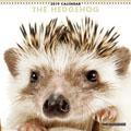 THE HEDGEHOG�@2019�N�J�����_�[