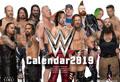 ��� WWE�@2019�N�J�����_�[
