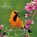 �������쒹�̐��E�i�j�������V�[���t���j�@2019�N�J�����_�[