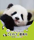 ��� �p���_�ł��ڂ���  ���Ƃ킴���p��i�j�������V�[���t���j�@2019�N�J�����_�[