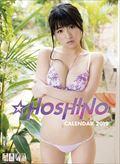 ��HOSHINO�@2019�N�J�����_�[