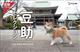  㓤ZNV@2026NJ_[